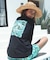 BILLABONG/水着 BG013857 UPF50+ クルーネック 長袖ラッシュガード ロンT MORFY SQUARE LOGO ビラボン レディース ムラサキスポーツ