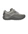 Silver/Taupe