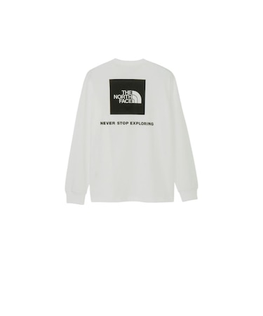 THE NORTH FACE (ノースフェイス) - L/S BACK SQUARE LOGO T (ロングスリーブバックスクエアロゴティー) NT32442 メンズ
