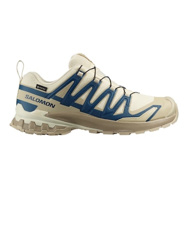 SALOMON (サロモン) - XA PRO 3D V9 GORE-TEX (エックスエープロ 3D V9 ゴアテックス)