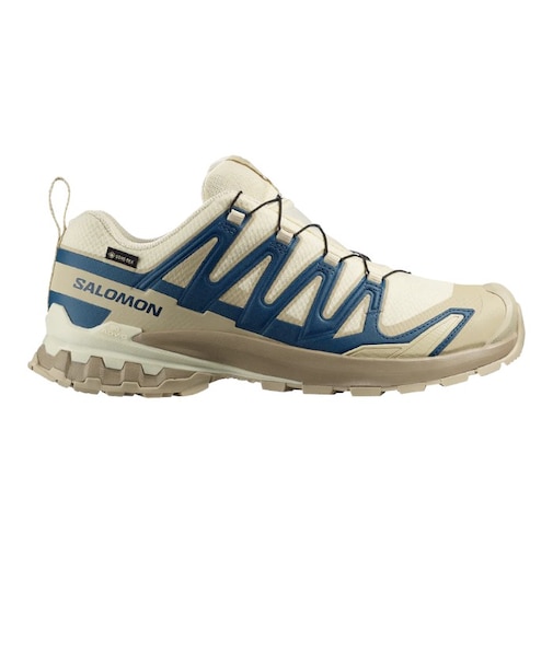 SALOMON (サロモン) - XA PRO 3D V9 GORE-TEX (エックスエープロ 3D V9 ゴアテックス)