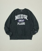 Champion × FREAK'S STORE 別注 REVERSE WEAVE VINTAGE WASH PRINT SWEAT