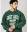 Champion × FREAK'S STORE 別注 REVERSE WEAVE VINTAGE WASH PRINT SWEAT