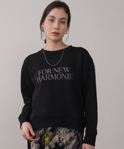 裏起毛レタリンク゛ロコ゛PO