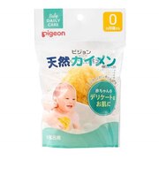 天然カイメン