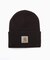 CARHARTT WIP / カーハート ダブリューアイピー  Acrylic Watch Hat