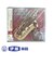 CD　全日本吹奏楽コンクール2010　VOL．14