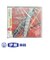 CD　全日本吹奏楽コンクール2009　VOL．11