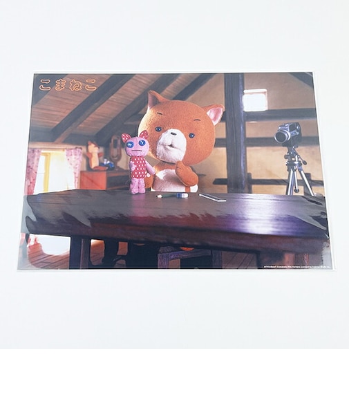 こまねこ アートフォトポスター 撮影準備 絹目写真A4ポスター インテリア