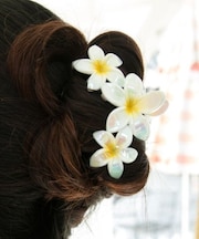 【カヒコ】プアレイヘアクリップ