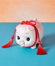 【カヤ】ブタちゃん貯金箱 中