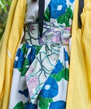 【カヤ】きらら帯