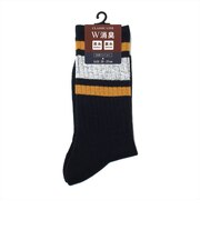 靴下 ライン ソックス 消臭W効果 25-27cm メンズ