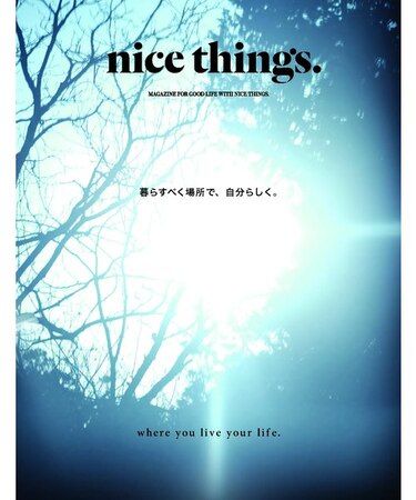 nice things.  Issue.71