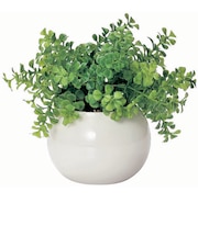 【当商品送料無料】光触媒 観葉植物 通販 フェイクグリーン ミニ インテリアグリーン リアル 小さめ おしゃれ 小さい 枯れない 造花 コンパクト