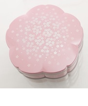 【当商品送料無料】重箱 初桜 hatsuzakura 桜 2段 お弁当箱 おしゃれ 通販 仕切り かわいい お重 行楽 弁当箱 ランチボックス