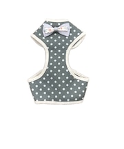 【当商品送料無料】ハーネス 付き 犬 服 楽天 犬服 いぬふく ペットハーネス リード付き リード アンファンス EF-PT03 一体型 イヌ いぬ