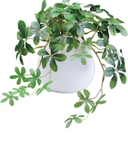 【当商品送料無料】光触媒 フェイクグリーン 通販 イミテーショングリーン 人工観葉植物 インテリアグリーン 中型丸鉢 消臭 抗菌 防カビ ポット