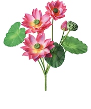 【当商品送料無料】蓮 花 造花 通販 蓮の花 はすの花 アーティフィシャルフラワー アーティフィシャルグリーン アートフラワー フェイクフラワー
