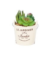 【当商品送料無料】光触媒 観葉植物 卓上 通販 バケツ フェイクグリーン ミニ おしゃれ 造花 ギフト プチギフト 贈り物 かわいい 消臭 抗菌