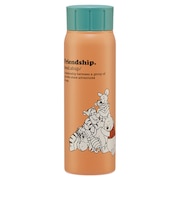 【当該商品送料無料】SKATER スケーター ステンレスボトル 500ml STSL5 通販 真空ステンレスボトル ボトル 水筒 直飲み 保冷専用
