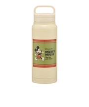 【当該商品送料無料】Skater スケーター マグボトル 500ml キャラクター STSC5 通販 ボトル 水筒 直のみ 直飲み 持ち手付き