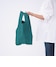 check.green
