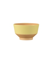 【当商品送料無料】お茶碗 子ども 割れない 通販 日本製 抗菌 茶碗 かわいい お椀 茶わん ボウル カップ カノー 食器 子供食器 子供用