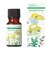 ブレンドエッセンシャルオイル スムーズドライブ 10ml