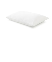ワンハグピロー ふつう 70cm×50cm | テンピュール 枕