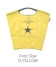 D.YELLOW