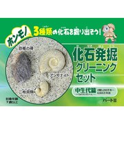 東京サイエンス　化石発掘クリーニングセット　中生代編