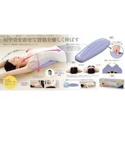ニーズ Cellsh 背筋ストレッチクッション