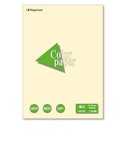 長門屋商店 カラーペーパー A4 厚口 レモン 100枚入 ナ-3302