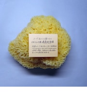 ラッシュ ナチュラルスポンジ ギリシャ産海綿 XL