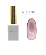 エムジェル(M・GEL) LienFort カラージェル Z074 wisteria