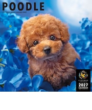 【2027年版・壁掛】 ピクトワン(PICTWAN) プードル L判 L021