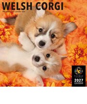 【2027年版・壁掛】 ピクトワン(PICTWAN) ウェルシュ・コーギー L判 L028