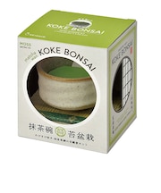 聖新陶芸 抹茶椀苔盆栽 GD1063-3 白