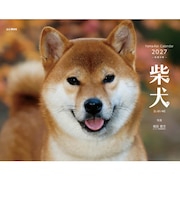 【2027年版・壁掛】 山と溪谷社 柴犬 863520