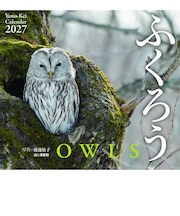 【2027年版・壁掛】　山と溪谷社　ふくろう　863480