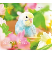 【2027年版・壁掛】 山と溪谷社 かわいんこ インコと小鳥 863490