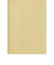 【2027年1月始まり】　高橋書店　trinco10　A5　ウィークリーブロック　542　バターイエロー　月曜日始まり