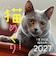 【2027年版・日めくり】　ONDORI　猫めくり
