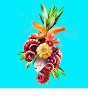 THE TASTE AQUA ARTSHOT
