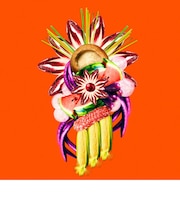 THE TASTE VERMILION ORANGE ARTSHOT
