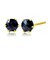 【選べる素材(K18 プラチナ)】ピアス レディース メンズ プラチナ ブラックダイヤモンド 計0.3ct 一粒 ローズカット 6本爪 18金 ゴールド PT900 LPUC ララクリスティー