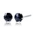 【選べる素材(K18 プラチナ)】ピアス レディース メンズ プラチナ ブラックダイヤモンド 計0.3ct 一粒 ローズカット 6本爪 18金 ゴールド PT900 LPUC ララクリスティー