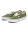 VN0A2Z3ZCIB　Authentic　COLOR THEORY PE　680552-0001