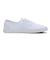 VN000D04WWW　AUTHENTIC LOWPRO　WHITE/WHITE　680548-0001